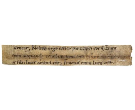Strip cut from a Carolingian - liturgical manuscript, quoting Luke 15:29-30 and Ephesians 5  liturgical manuscript,   quoting