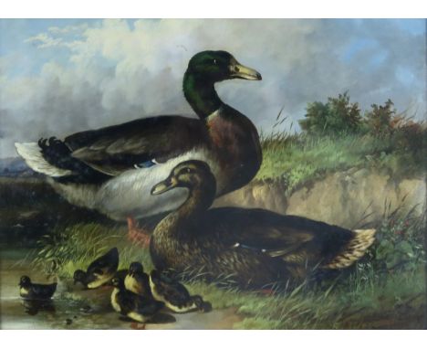 E BARNES (BRITISH 19TH CENTURY) PAIR OF DUCKS WITH DUCKLINGS Oil on panel board, signed and dated 1868, 30.5 x 40.5cm (12 x 1