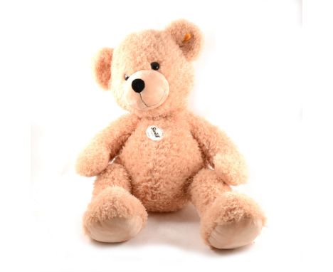 Modern Steiff bear, 'Fynn', with button label in ear, fixed limbs, large size (30"), unboxed.