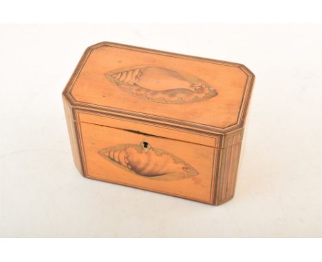 An early 19th century satinwood tea caddy, with inlaid shell motif, ivory escutcheon and mahogany crossbanding, with two sect