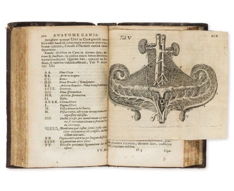 Canine anatomy.- Blaes (Gerard) Miscellanea anatomica, hominis, brutorumque variorum, fabricam diversam magna parte exhibenti
