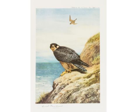 Birds.- Thorburn (Archibald) Birds of Prey: a facsimile of the 1919 edition, 1 of 15 deluxe copies, 12 colour plates, Lamarsh