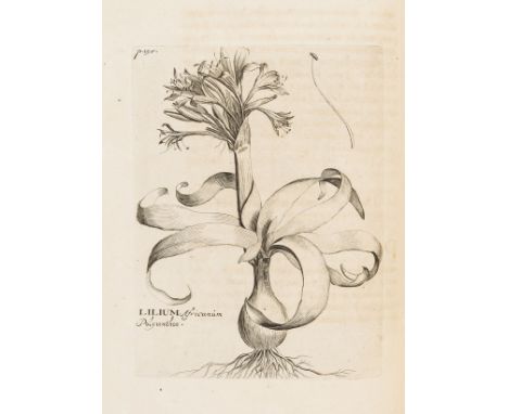 Hermannus (Paulus) Paradisus Batavus, 111 engraved plates, woodcut title vignette, initials and head- and tail-pieces, eighte