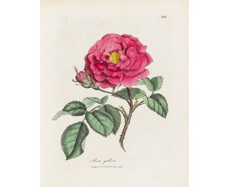 Woodville (William) Medical Botany, 4 vol., first edition, 274 hand-coloured engraved plates, some light foxing and toning bu