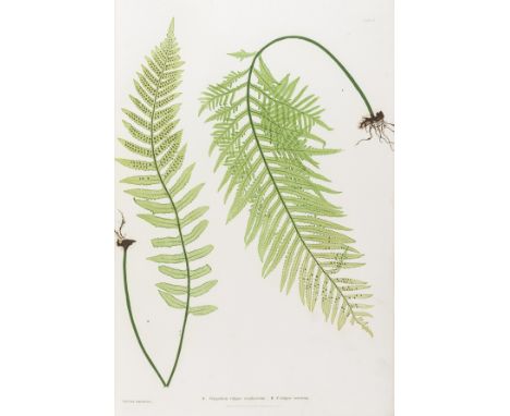 Ferns.- Moore (Thomas) The Ferns of Great Britain and Ireland, first edition, edited by John Lindley, half-title, 51 nature-p