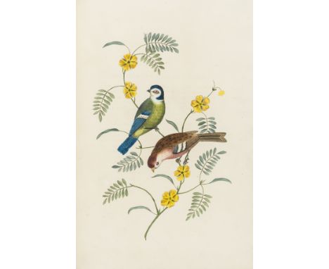 Brookshaw (George) Groups of Flowers, 1819; Groups of Fruits, 1819; Six Birds, 1819, together 3 vol.in 1, second editions, ha