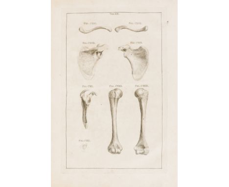 Osteology.- Albinus (Bernhard Siegfried) Icones ossium foetus humani. Accedit osteogeniæ brevis historia, first edition, 32 e