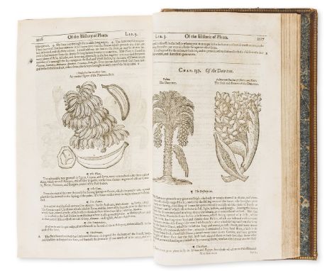 Gerard (John) The Herball or Generall Historie of Plantes, second edition, engraved title by John Payne trimmed and laid down