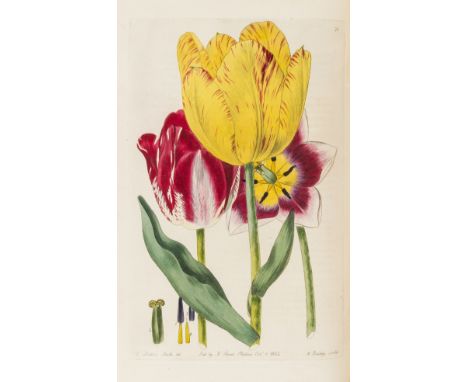 Sweet (Robert) The British Flower Garden, 7 vol., (i.e. 1st series 3 vol. &amp; 2nd series 4 vol.), 712 hand-coloured engrave