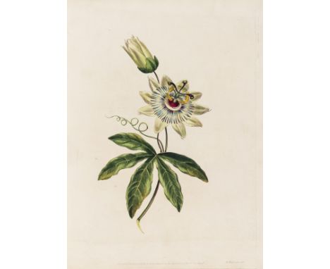 Henderson (Peter Charles) The Seasons, or Flower-Garden: being a Selection of the most beautiful Flowers that blossom at the 