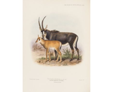 Sclater (Philip Lutley) and Thomas Oldfield. The Book of Antelopes, 4 vol. in 2, first edition, 100 fine hand-coloured lithog