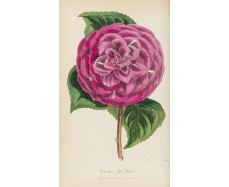 Harrison (Joseph) The Floricultural Cabinet, 26 vol. only (of 27, lacking vol.22), engraved titles to some vol., hand-coloure