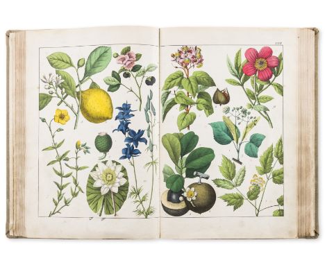 Schubert (G.H. von) Naturgeschichte des Pflanzenreichs, 52 double-page hand-coloured lithograph plates, one defective, foxing
