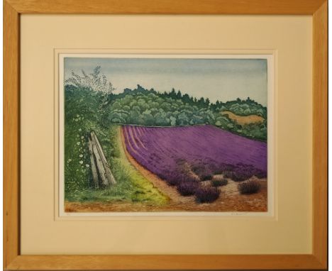 Anna-Mary Devereux, British, late 20th/early 21st century- 'Lavender, Shoreham Valley'; etching, aquatint in colours, signed 