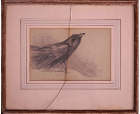 Archibald Thorburn FZS, British 1860-1935- Study of a raven; pencil, signed with initials and dated March 20 1918, bears labe