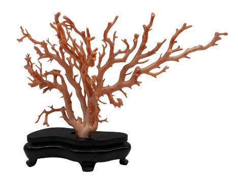 20th century pink branch coral specimen for display on wooden base H24cm W32cmPlease note: if sold/shipped outside of the UK 
