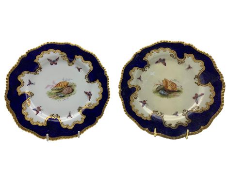 Pair of Flight, Barr &amp; Barr cabinet plates painted with shells and butterflies within a dark blue and gilt border, impres