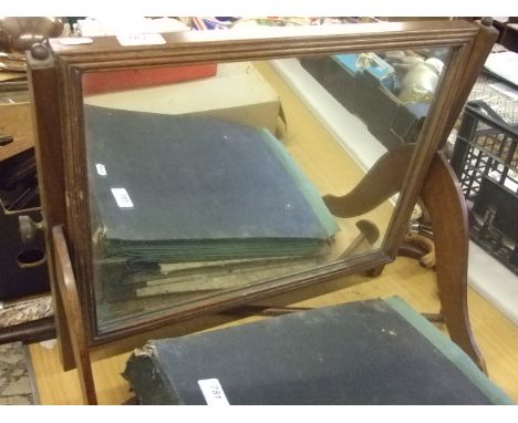 OBLONG SWIVEL MIRROR 
