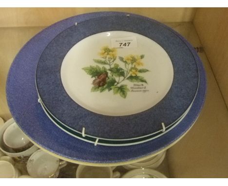 2 WORCHESTER 'HERB' PLATES AND 2 SPODE PLATES AND 1 VASE 