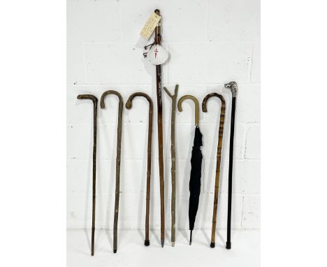 A collection of walking sticks and canes including one SCM topped stick in the form of a dog
