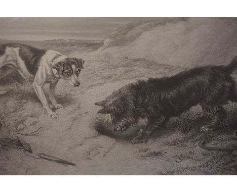 "A Sure Find" Print Engraving, 29cm x 45cm, in an oak frame