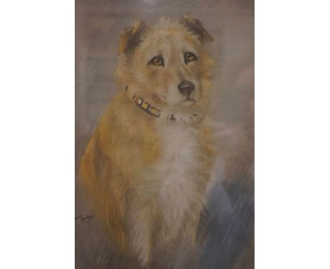 G.Shaw Baker "Prince - Irish Terrier" Print, signed, 34cm x 24cm