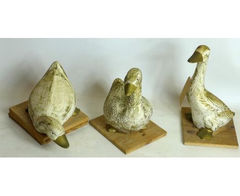Two ceramic models of ducks on pine bases