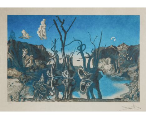 SALVADOR DALI (SPANISH 1904-1989)Swans Reflecting Elephants,colored lithographimage: 37 x 57 cm (14 5/8 x 22 1/2 in.)framed d