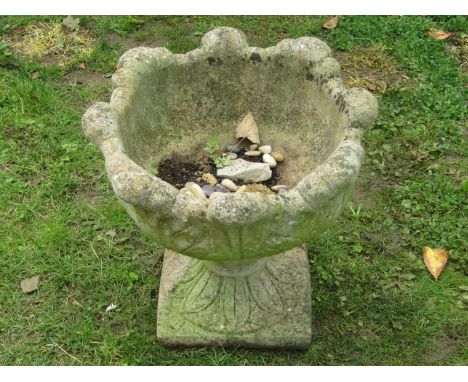 A weathered cast composition stone garden urn with circular acanthus leaf bowl, raised on a loose socle with square base, tog