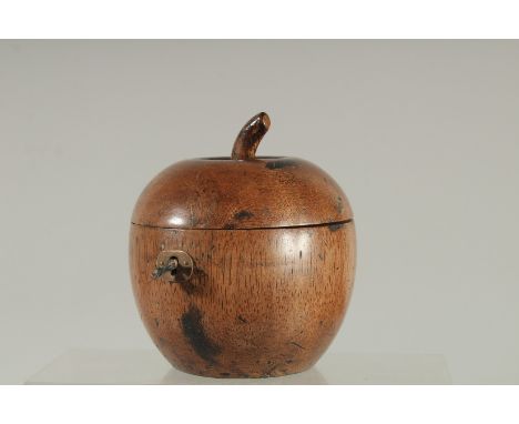 A GOOD APPLE TEA CADDY.  4ins diameter.