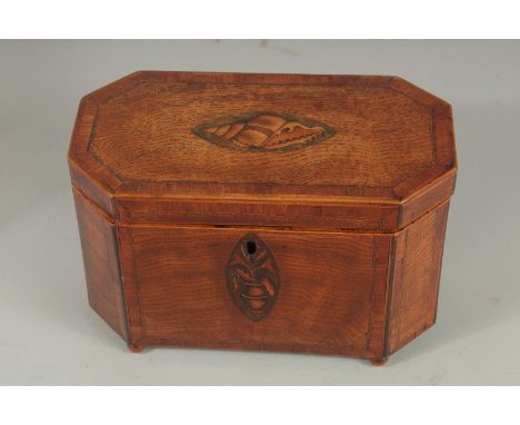 A GEORGE III MAHOGANY SHELL INLAID TEA CADDY 9ins long.