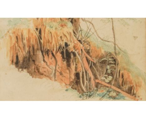 ATTRIBUTED TO JOHN RUSKIN (BRITISH, 1819-1900)Study of Rootswatercolour and pencil11.5 x 19.5cmProvenanceJohn Manning, New Bo