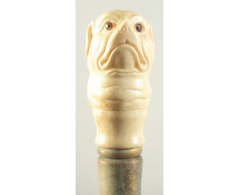 A WALKING STICK with carved bone handle, 'PUG DOG'S HEAD'.