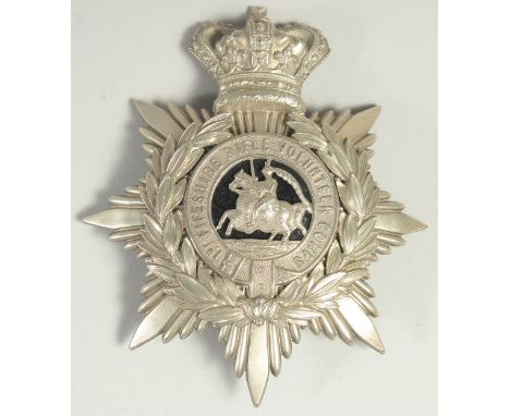 1ST FIFESHIRE RIFLE VOLUNTEER CORPS HELMET PLATE BADGE. 1880 - 1887. 12cm x 10cm