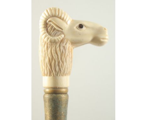 A WALKING STICK with carved bone handle, 'RAM'S HEAD'