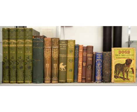 Natural History. [Yellowback] Mayhew (Edward), Dogs: their management, first edition?, London: George Routledge and Son, n.d.