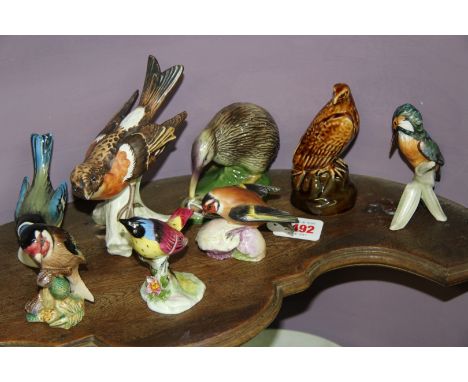 A collection of porcelain and pottery bird models, to include: a Goebel Owl; Goebel Kingfisher; Goebel Brambling; a Beswick P