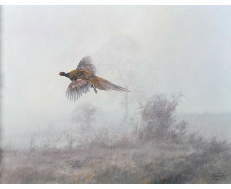 Clive Madgwick (1934-2005) - Lone pheasant on a misty morning, oil on canvas, signed lower right, 34 x 44cmNo apparent faults