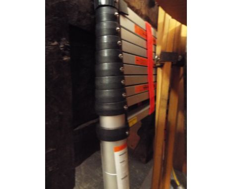A telescopic extending ladder 