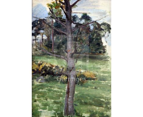 John William Waterhouse RA (1849-1917)oil sketch on canvas boardStudy of a tree13.75 x 9.75in. Provenance: An Artist Studio S