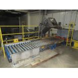 Tote feed conveyor system with (1) 4 ft w x 14 ft l, (1) 4 ft w x 10 ft l live roller conveyors,