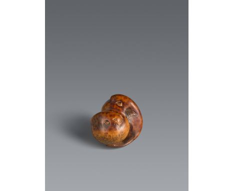 Netsuke zweier Kugelfische. Buchsbaum. Um 1800Sign. in erhabener Reserve: Sari Zwei fugu eng beisammen liegend berühren sich 