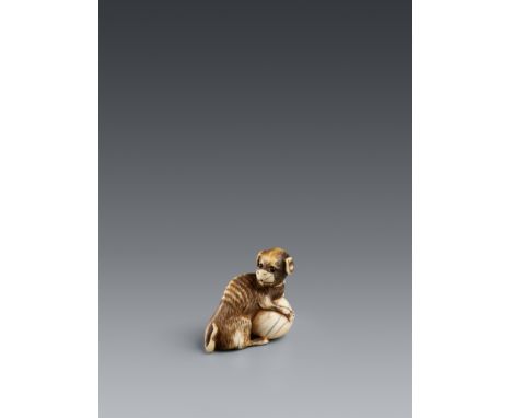 Netsuke eines Hundes mit Ball. Elfenbein. Um 1800Sitzend, beide Vorderpfoten über einen großen Ball gelegt, sich aufmerksam u