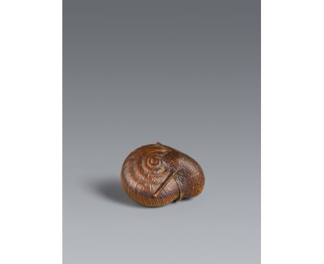 Netsuke einer Schnecke. Buchsbaum. Um 1800Sign.: Sari Aus ihrem Schneckenhaus herausgekrochen, liegt der Kopf mit ausgebreite