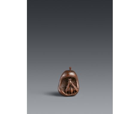 Netsuke einer Wespe in verrottender Birne. Buchsbaum. Spätes 19. Jh.Sign. in erhabener Reserve: KōgetsuIn der Aushöhlung der 