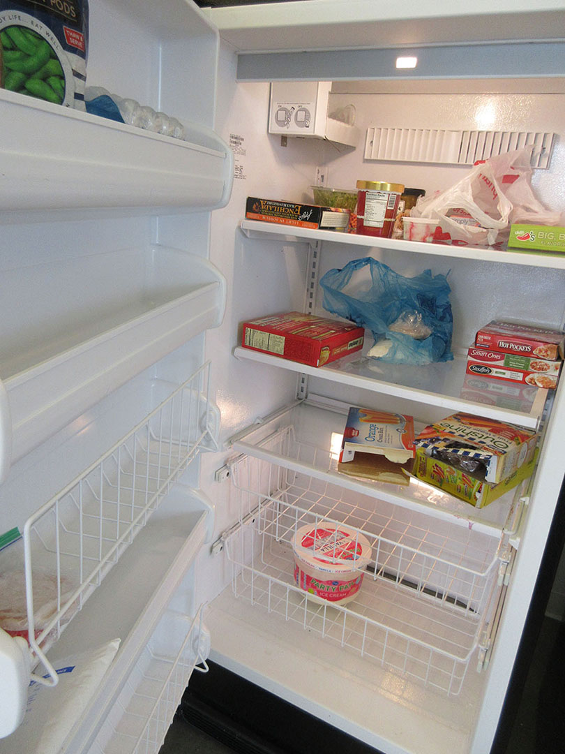 Kenmore Elite Upright Freezer Model 253