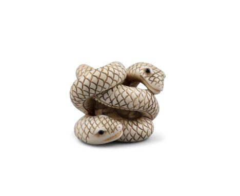 *SHOZAN / MATSUYAMA 松山: AN IVORY 'TWO COILED SNAKES' KATABORI NETSUKE Japan, Meiji to Taisho period Pierced with two himotosh