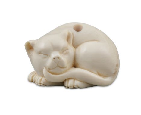 *TOMOTSUGU友次: A MINIATURE IVORY 'SLEEPING CAT' KATABORI NETSUKE Japan, 19th century Pierced with a two himotochi. With signat