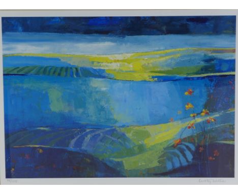 Kirsty Wither, ' Where you take m', a limited edition coloured screen print, signed in pencil and numbered 78 / 875, framed u