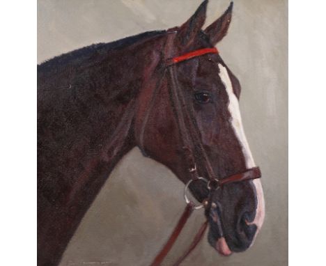 Hellmut Bachrach-Barée, „Kopf eines Reitpferdes“Portrait eines Pferdes mit Zaumzeug vor grauem Grund, leicht pastose Tiermale